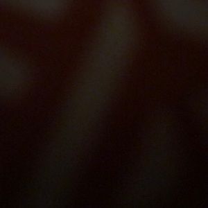 Meet your Posher, Mia